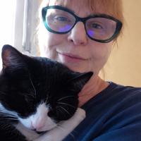 Cat sitter - rivoli (to) e dintorni