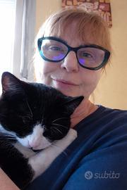 Cat sitter - rivoli (to) e dintorni