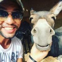 Torismo,autista,agricoltore,agriturismo,fabbrica