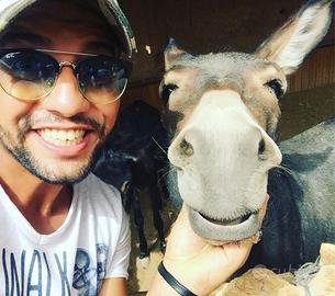 Torismo,autista,agricoltore,agriturismo,fabbrica