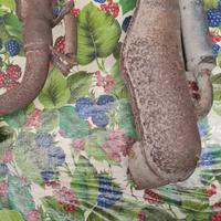 marmitta Pollini vespa 125 primavera - ET3 