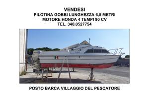 PILOTINA 6,5 M. CON FUORIBORDO HONDA 90 CAV.