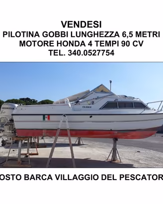 PILOTINA 6,5 M. CON FUORIBORDO HONDA 90 CAV.