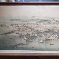 Napoli - Stampa antica veduta aerea città fine 800