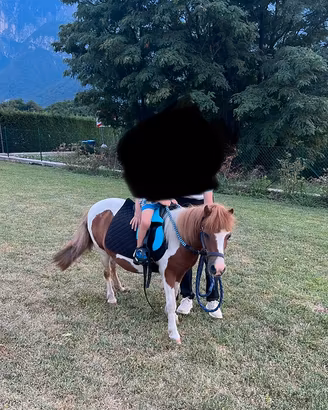 Pony femmina