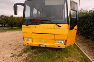 Pullman IVECO 315 posti 32