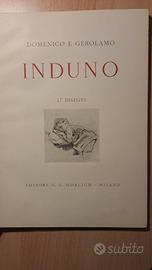 Domenico e Gerolamo Induno - 37 disegni numerata