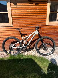 Specialized stumpjumper comp carbon