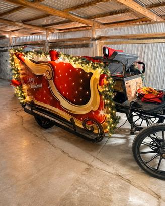 Carrozza wagonette