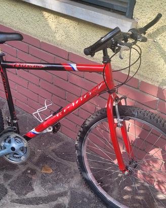bici mtb