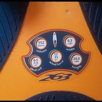 tavola windsurf BIC Techno