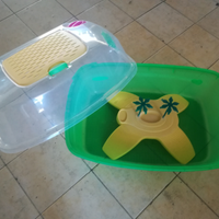 Tartarughiera d'acqua