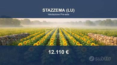 Immobile in asta di 3219 m² a Stazzema