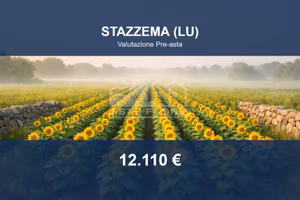 Immobile in asta di 3219 m² a Stazzema