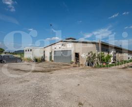 Capannone Industriale Este [Cod. rif 3253351VCG]