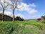 Immagine 13