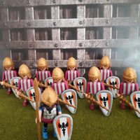 Cavalieri Playmobil Knights
