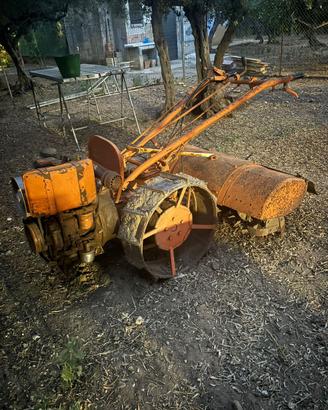 Motocoltivatore valpadana DS14