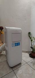 Climatizzatore portatile ARGO 10000 btu classe A