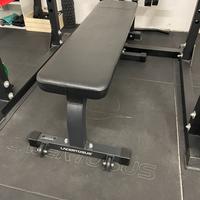 Panca piana lacertosus