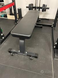 Panca piana lacertosus