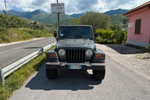 Wrangler jeep 4000 sport
