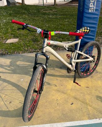 Wheelie bike
