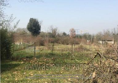 Terreno Agricolo Castel Sant'Elia [A4330109]