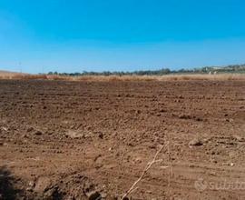 Terreno edificabile a menfi