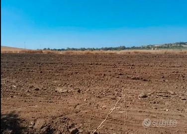 Terreno edificabile a menfi