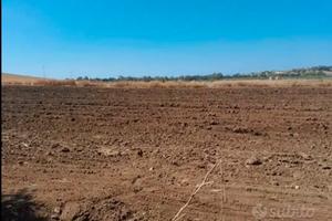 Terreno edificabile a menfi