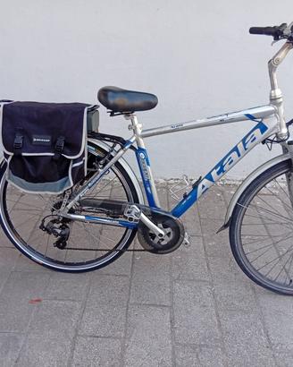 Bicicletta elettrica