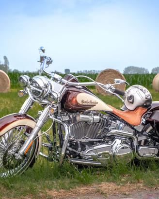 Superba Harley Davidson Indian style custom. Unica