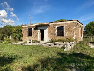 Terreno di 5002 m² a Nettuno