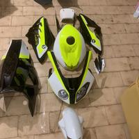 carena nuova Flamingo per bmw s1000rr