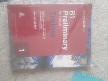 B1 preliminary for school