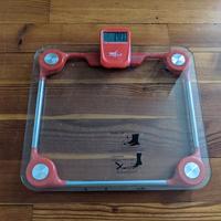 Bilancia elettronica