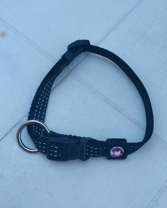 Collare Per Around, taglia M