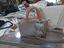 Immagine 1