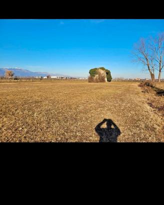 Terreno agricolo