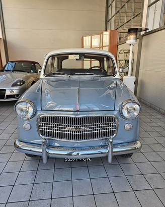 Fiat 1100 103 D
