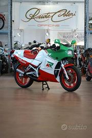 Honda NS 125 "Adriatico" 1987