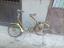 Immagine 2