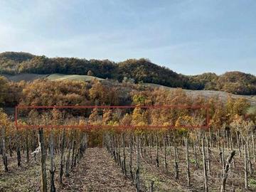 RGE16/2021 Trib Pavia - LOTTO 2