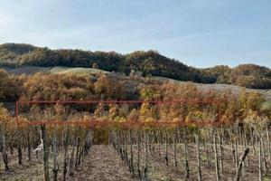 RGE16/2021 Trib Pavia - LOTTO 2