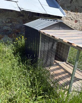 Cuccia per cani