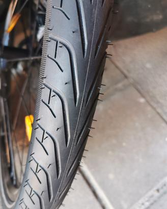 bici elettrica Yamaha Fantic easy living