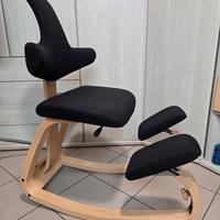 sedia ergonomica