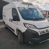 FIAT DUCATO COIBENTATO/FRIGO NUOVO