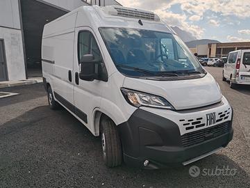 FIAT DUCATO COIBENTATO/FRIGO NUOVO